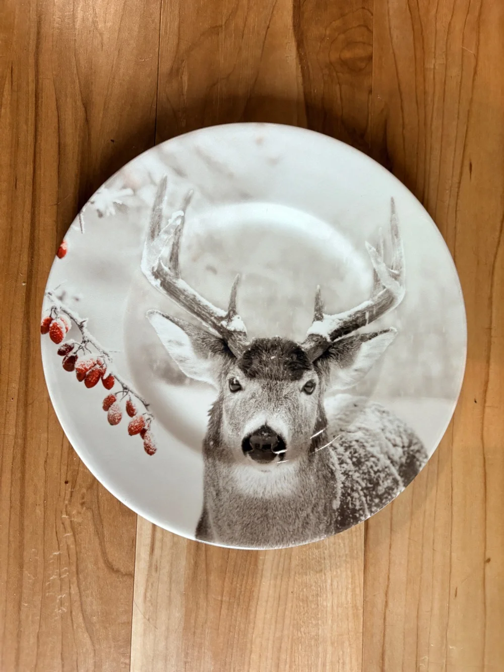 Pier 1 Winter Forest Buck Accent Dinner Plate